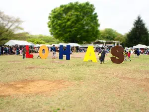 ロハスフェスタ