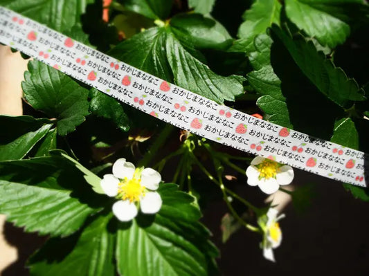 いちごの花。